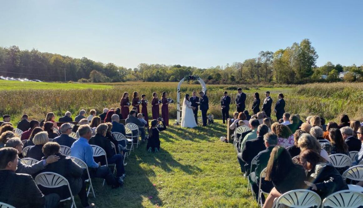 How Much Do Weddings Cost in Ann Arbor?
