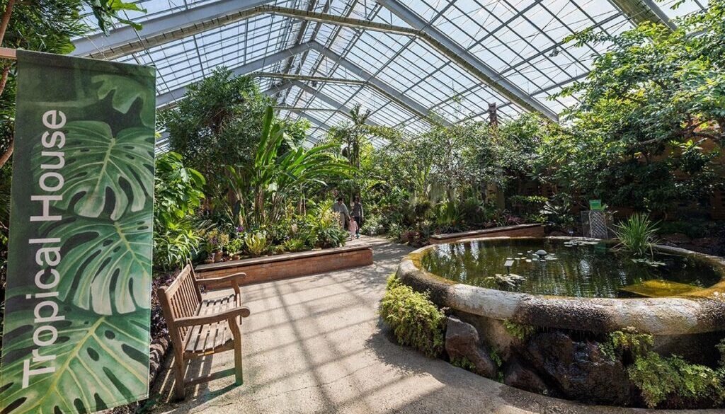 Tropical House