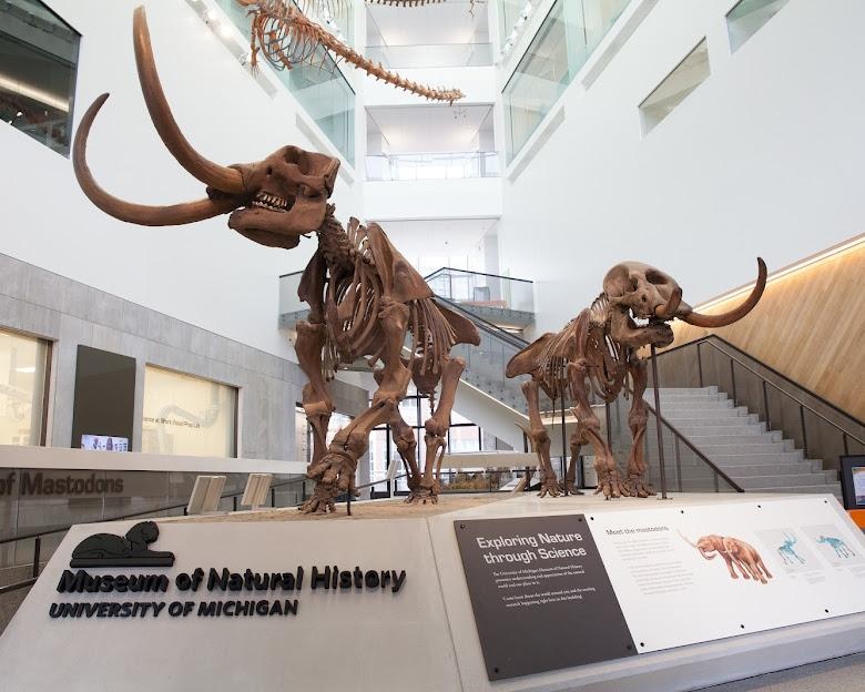 A Day trip from Ann Arbor: Garden Walks, Fairy Doors & the Hidden Irish Hills of Michigan